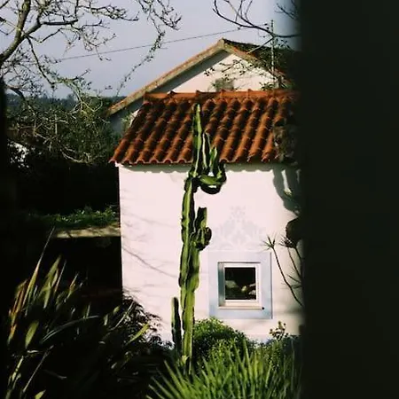 Lägenhet Casa Oliva - Casa Da Lenha Porto de Mós