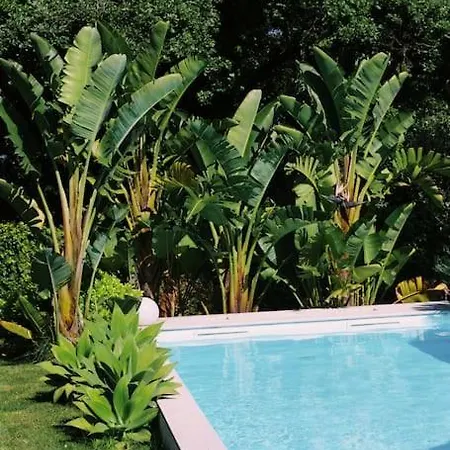 Casa Oliva - Casa Da Lenha * Porto de Mós