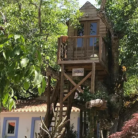 Lägenhet Casa Oliva - Casa Da Lenha *