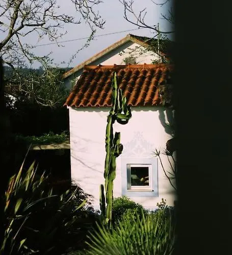 Lägenhet Casa Oliva - Casa Da Lenha Porto de Mós