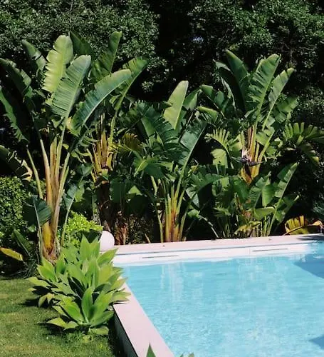 Casa Oliva - Casa Da Lenha * Porto de Mós